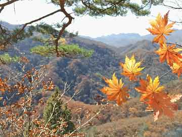 2O24年澳門開獎(jiǎng)記錄,澳門彩票開獎(jiǎng)記錄，探尋未來(lái)的2024年奧秘與機(jī)遇