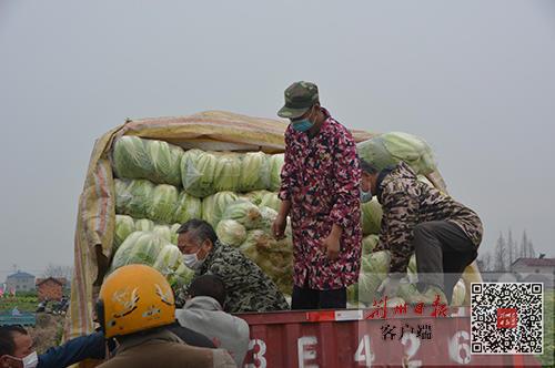 松滋司機最新招聘,松滋司機最新招聘，職業(yè)前景、要求與如何應聘