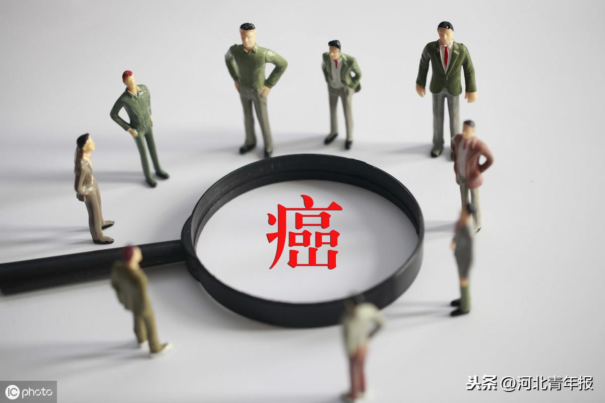 最新防癌險(xiǎn)哪家最好,最新防癌險(xiǎn)哪家最好，深度解析與推薦