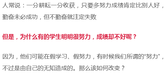 穆斯林女孩經(jīng)名最新,穆斯林女孩經(jīng)名最新趨勢(shì)，探索與啟示