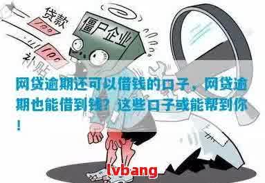 最新網(wǎng)貸口子解析,最新網(wǎng)貸口子解析，探索現(xiàn)代金融的新渠道