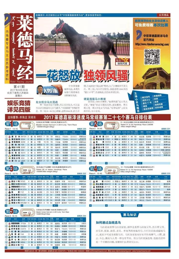 馬會傳真免費公開資料,馬會傳真免費公開資料，探索與啟示
