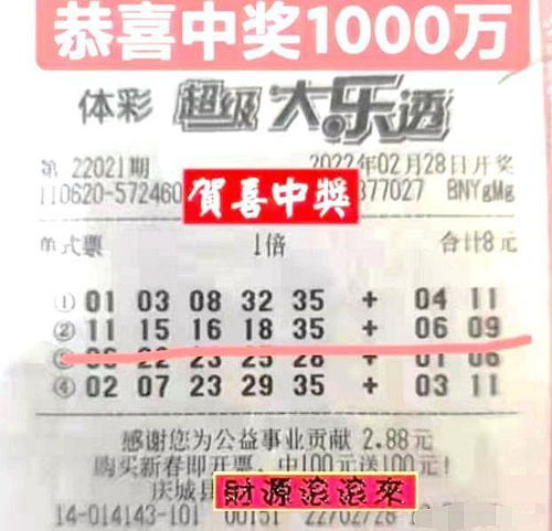 2024新澳開獎結(jié)果,揭秘2024新澳開獎結(jié)果，背后的秘密與期待