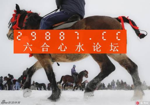 993994www跑狗玄機,探索跑狗玄機與數(shù)字世界中的993994www