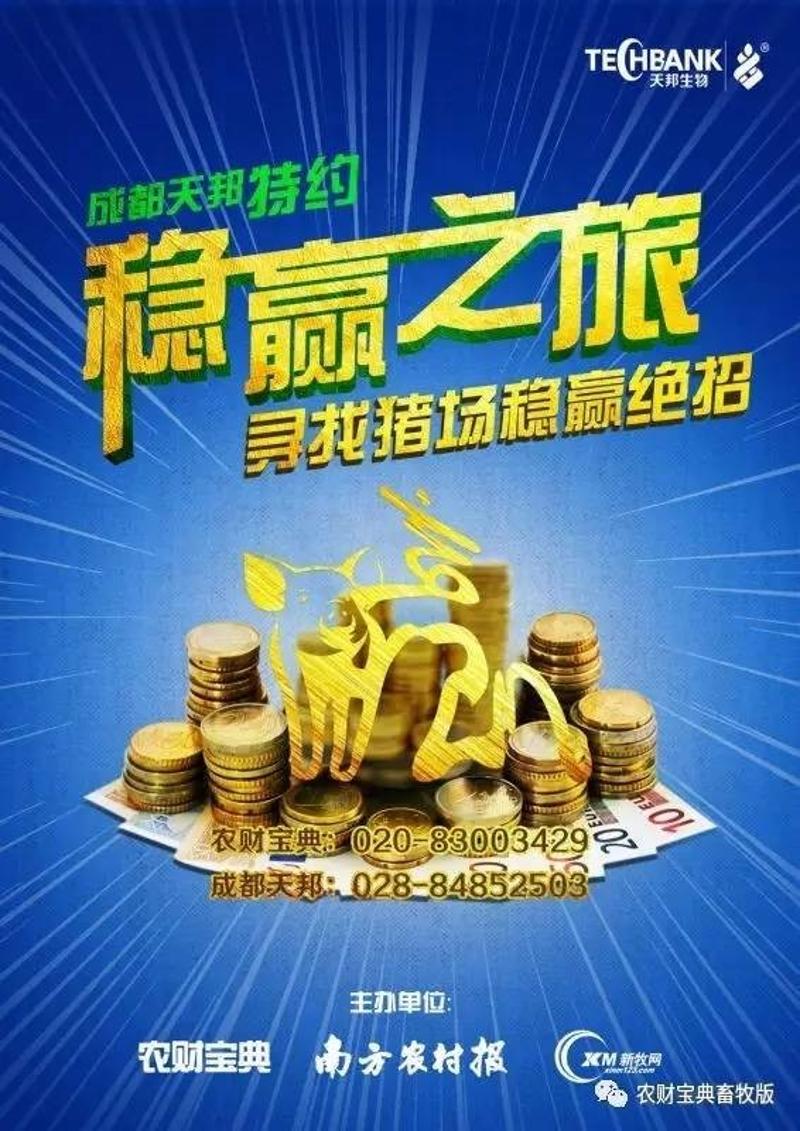 一碼一肖100準(zhǔn)正版資料,一碼一肖，追尋精準(zhǔn)正版資料的探索之旅