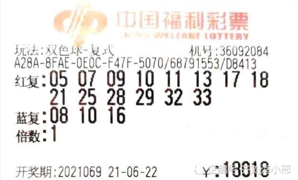 2024澳門六開獎結(jié)果出來,澳門六開獎結(jié)果揭曉，期待與驚喜交織的盛宴