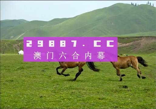 7777788888新版跑狗,探索全新體驗(yàn)，7777788888新版跑狗