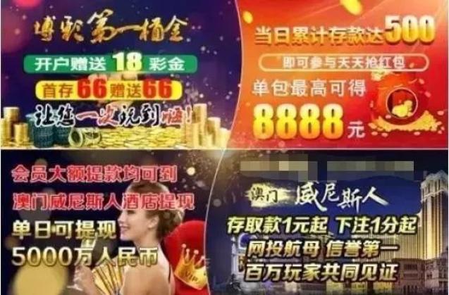494949澳門今晚開什么,探索澳門今晚的開獎秘密，494949的魅力與期待
