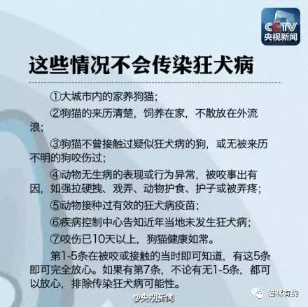 管家婆一笑一馬100正確,管家婆一笑一馬，100%正確之道