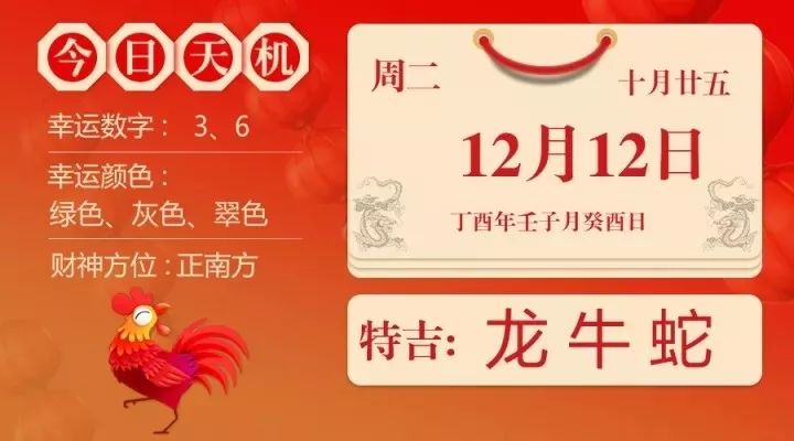一肖一碼精準一,一肖一碼精準一，探尋命運之碼的神秘面紗