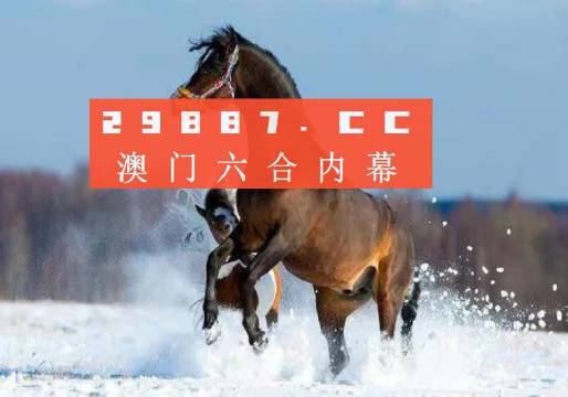 澳門今一必中一肖一碼西肖,澳門今一必中一肖一碼西肖，探索與解析