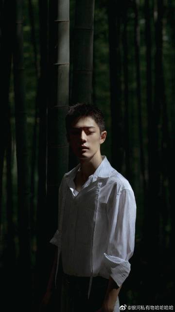 一肖一碼一一肖一子,一肖一碼一一肖一子，探尋背后的神秘與魅力