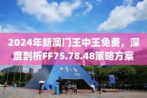2024年新澳門王中王免費(fèi),探索新澳門，2024年王中王免費(fèi)現(xiàn)象的背后