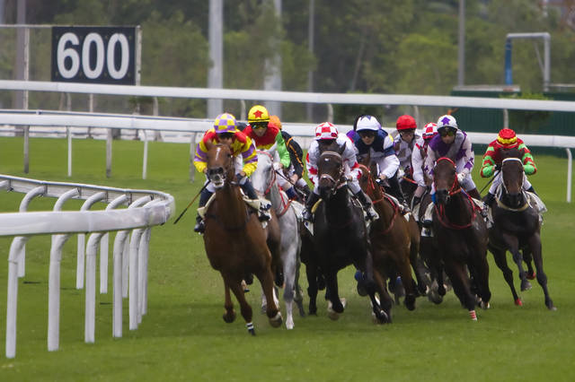 2024今晚香港開特馬開什么,探索香港賽馬文化，2024今晚特馬賽事展望