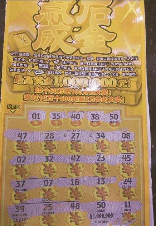 管家婆100%中獎,揭秘管家婆彩票中獎神話，100%中獎背后的真相探索