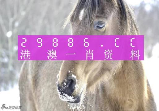 澳門必中一肖一碼100精準生肖花的屬性,澳門必中一肖一碼，揭秘精準生肖花的屬性與魅力