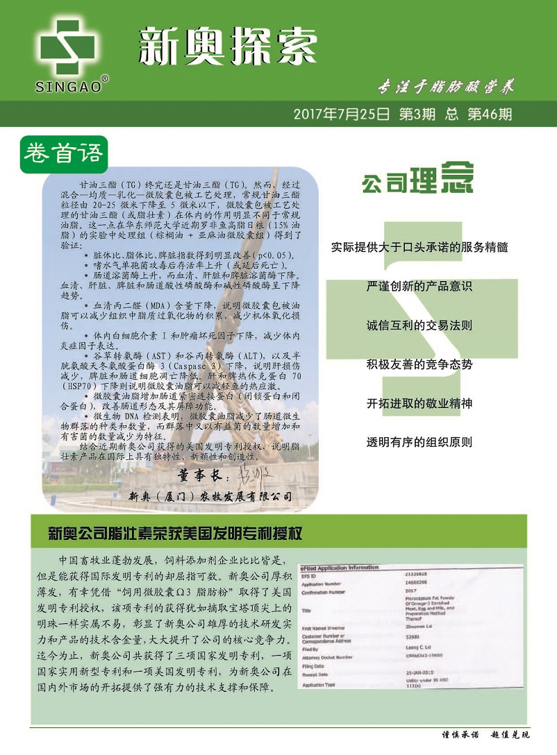 2024新奧精準(zhǔn)正版資料,探索未來之路，解析2024新奧精準(zhǔn)正版資料的重要性與價(jià)值