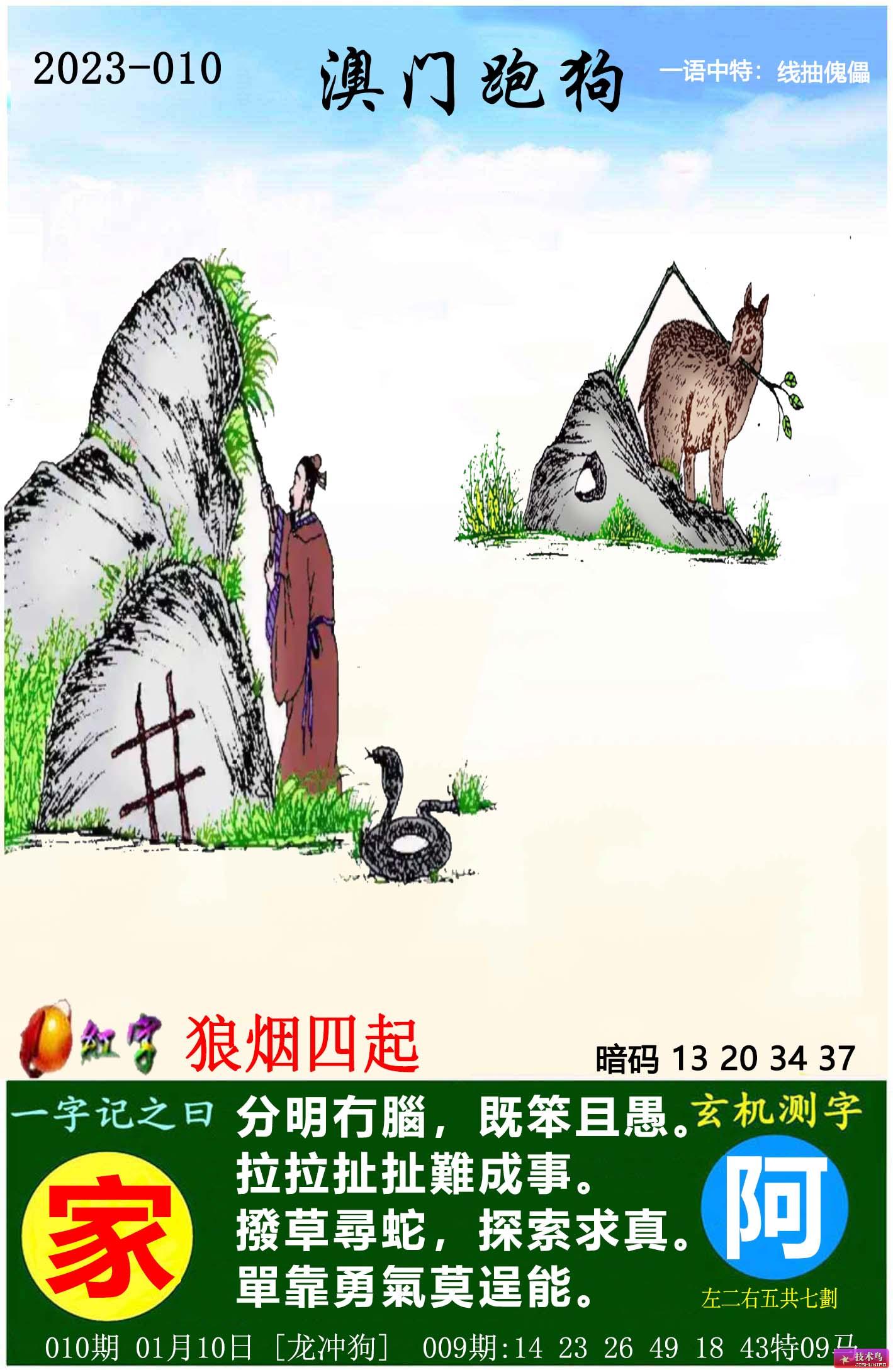 2024高清跑狗圖新版今天,探索未來跑狗圖，揭秘高清跑狗圖新版背后的故事與趨勢（今天發(fā)布）