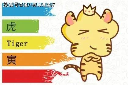今晚必開(kāi)什么生肖,今晚必開(kāi)什么生肖，生肖預(yù)測(cè)的神秘魅力與真相探尋
