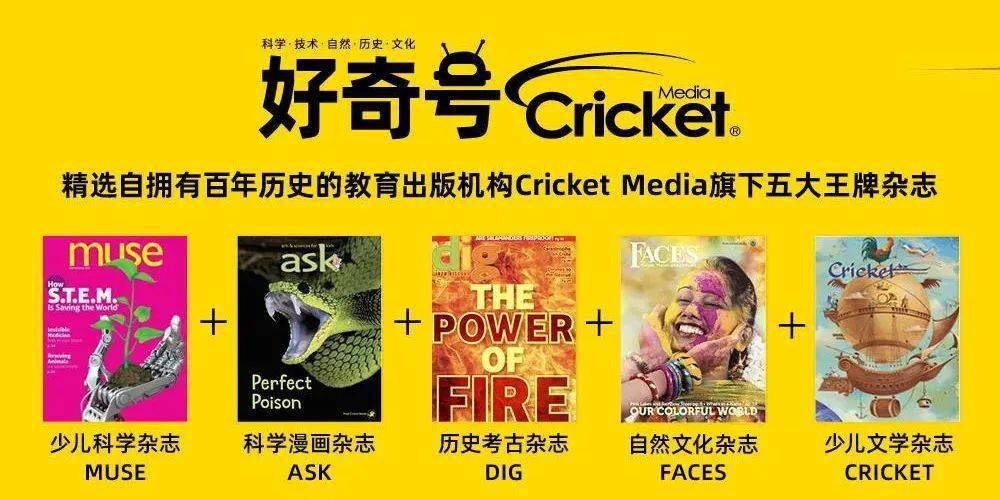 新奧正版全年免費資料,新奧正版全年免費資料，探索與利用