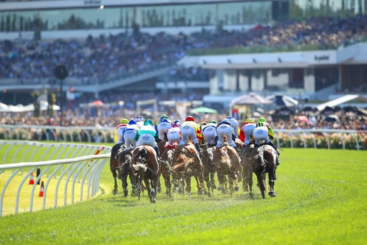 2024今晚香港開特馬,今晚香港開特馬，探尋賽馬文化的魅力與激情