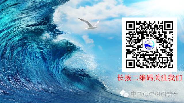 新奧門資料免費(fèi)精準(zhǔn),新澳門資料免費(fèi)精準(zhǔn)，探索信息的海洋與信任的重要性