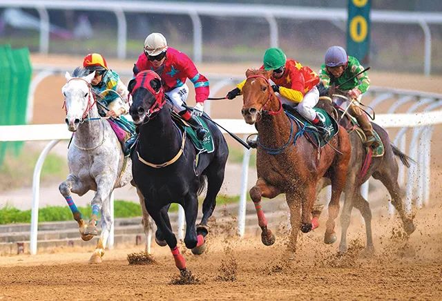 新澳今天開什么特馬,新澳今日開馬揭曉，探索賽馬運(yùn)動(dòng)的激情與魅力