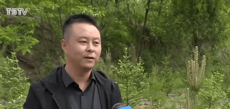 新澳正版資料免費大全,新澳正版資料免費大全，探索與利用