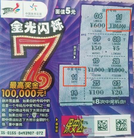 新奧門天天開獎資料大全,新澳門天天開獎資料大全，探索彩票世界的奧秘