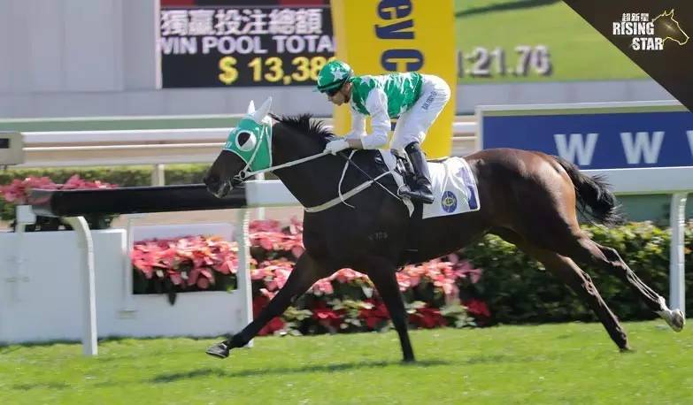 2024今晚香港開特馬開什么,關于香港賽馬會2024今晚特馬開彩的探討