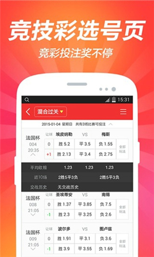 2004年澳門特馬開獎號碼查詢,澳門特馬開獎號碼查詢——回顧歷史，探索未來（以2004年為例）