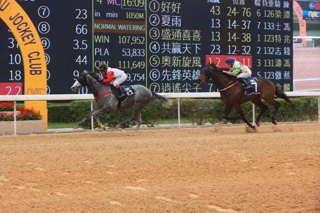 今晚澳門馬出什么特馬,今晚澳門馬會出什么樣的特馬？探索澳門賽馬中的神秘元素