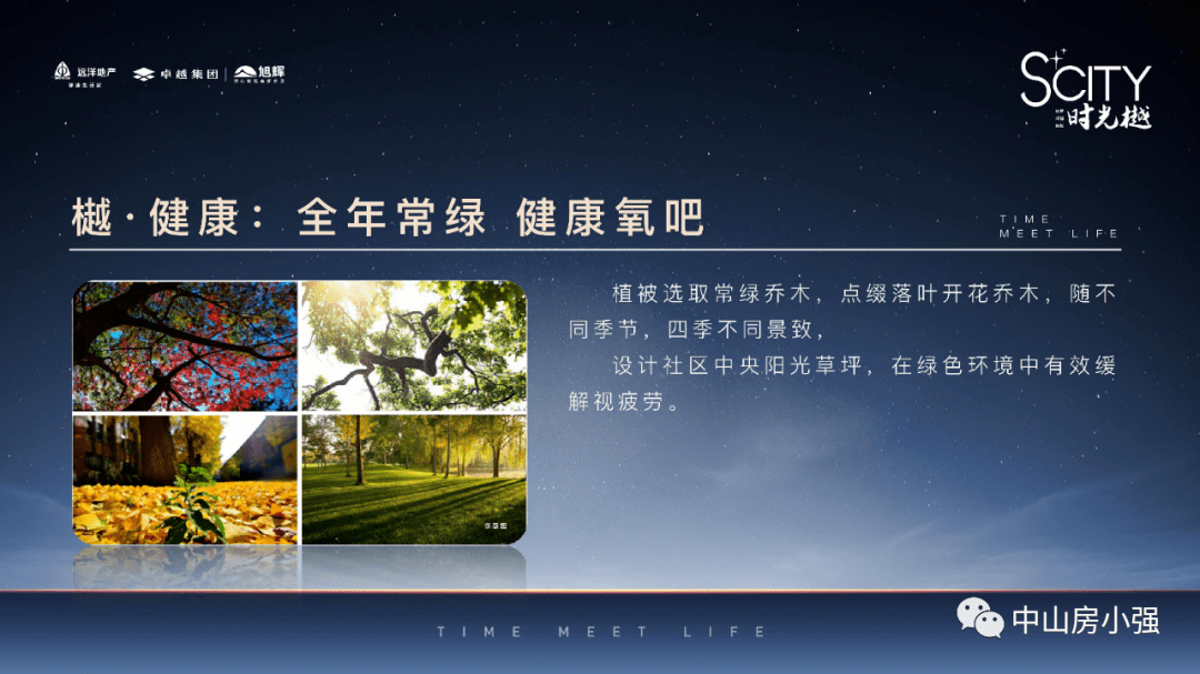 新澳門免費資料掛牌大全,新澳門免費資料掛牌大全，探索與解析