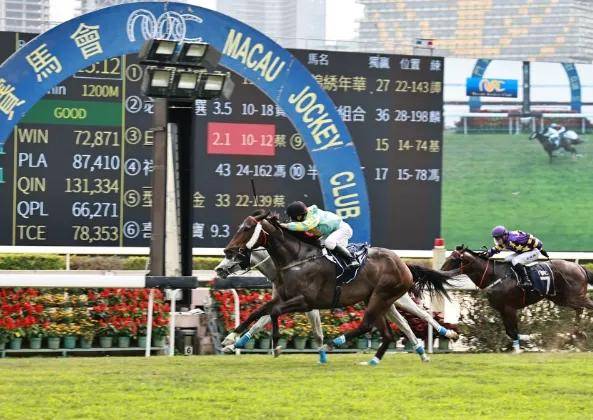 2025澳門特馬今晚開獎(jiǎng)138期,澳門特馬的歷史與魅力，聚焦今晚開獎(jiǎng)的2025年第138期