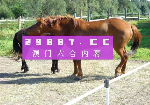 4949澳門特馬今晚開獎53期,澳門特馬第53期開獎揭曉，期待與現(xiàn)實的交匯