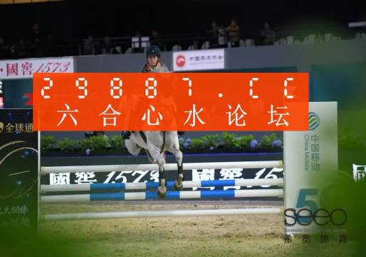王中王493333WWW,探索王中王的神秘?cái)?shù)字世界，王中王493333WWW