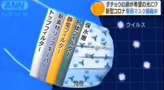 最準(zhǔn)一碼一肖100%噢,揭秘最準(zhǔn)一碼一肖，探尋預(yù)測(cè)真相的奇幻之旅