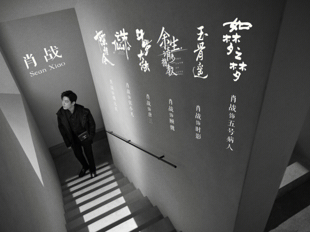 一肖一碼一一肖一子,一肖一碼一一肖一子，探尋背后的神秘與魅力