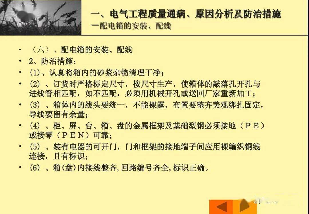 正版資料免費(fèi)資料大全十點(diǎn)半,正版資料與免費(fèi)資料大全，十點(diǎn)半的寶藏探索