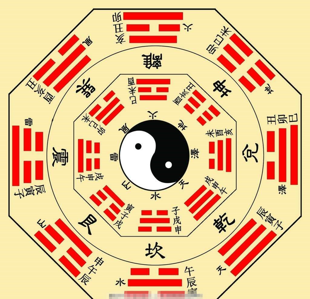 今晚必開什么生肖,今晚必開什么生肖，生肖運勢與預(yù)測
