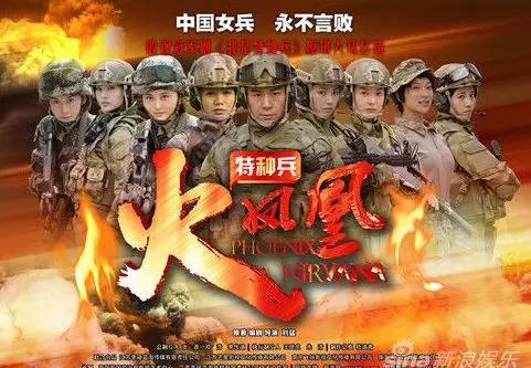 新奧門特免費資料大全火鳳凰,新澳門特免費資料大全火鳳凰，深度解析與探索