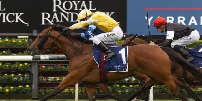 今晚澳門馬出什么特馬,今晚澳門馬出什么特馬，探索賽馬世界的神秘面紗