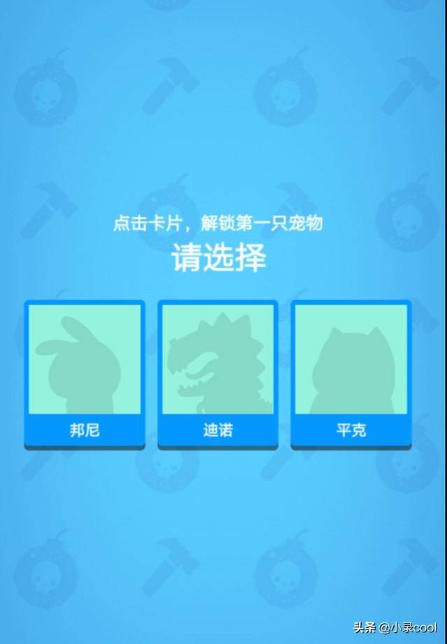 一肖一碼中持一一肖一碼,一肖一碼中持一一肖一碼，探索與理解