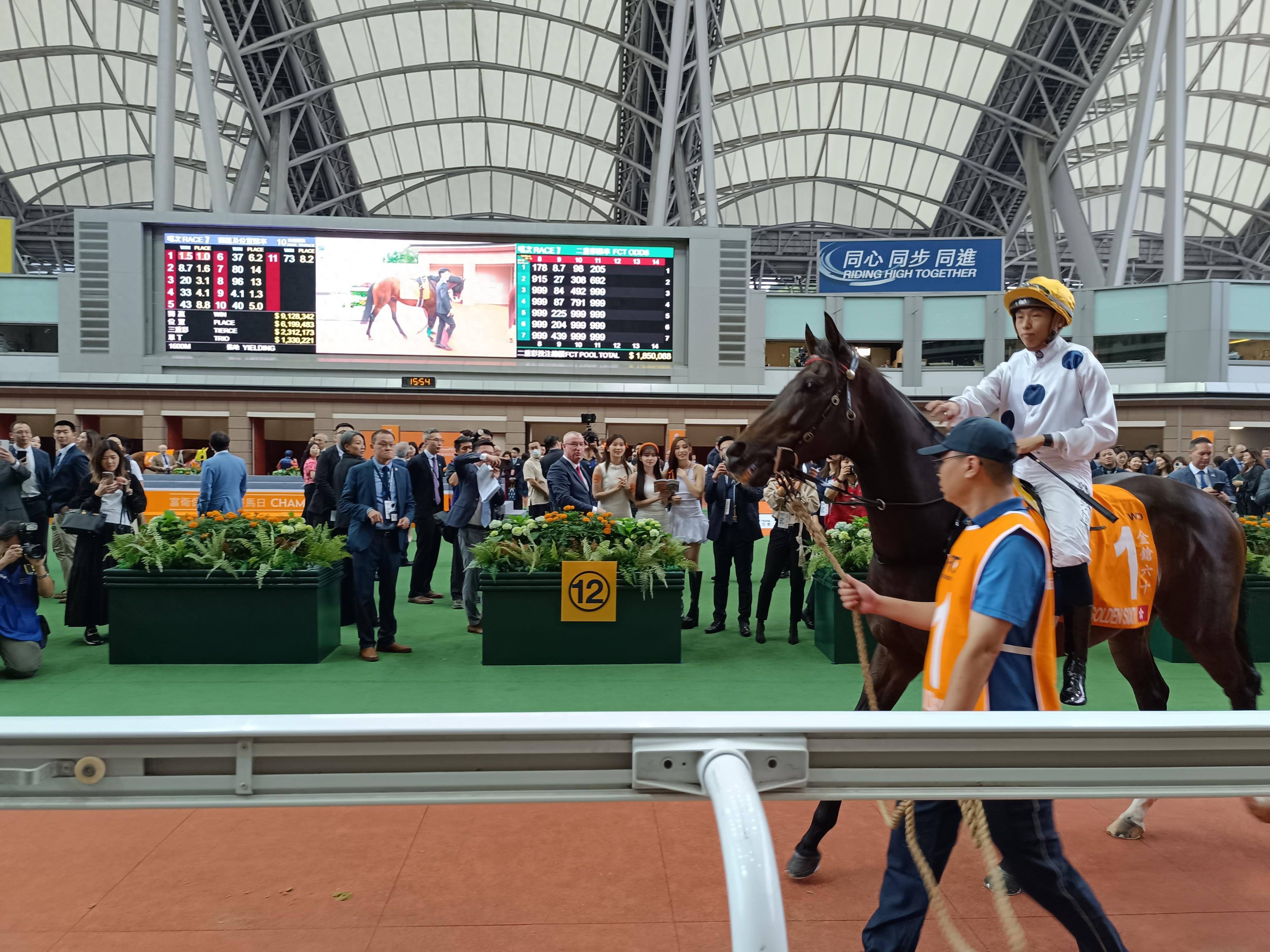 馬會傳真,馬會傳真，探索現(xiàn)代馬術運動的新紀元