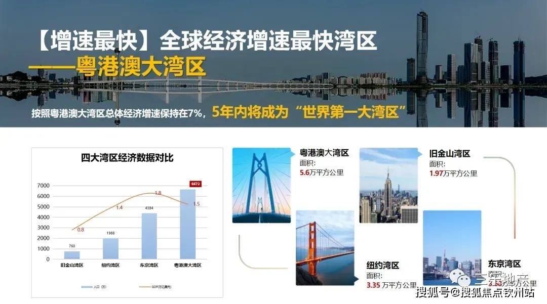 新奧門特免費資料大全198期,新奧門特免費資料大全198期，深度解析與前瞻性探討