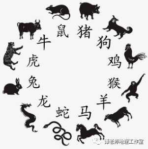 一肖一碼中持一一肖一碼,一肖一碼中持一一肖一碼，探索與理解