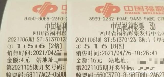 香港二四六最快開獎(jiǎng),香港二四六最快開獎(jiǎng)，探索彩票的魅力與期待