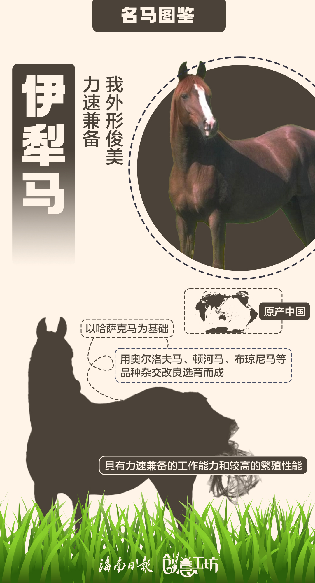 特馬資料,特馬資料，深入了解與運(yùn)用