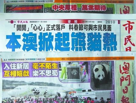 新澳門天天開好彩大全開獎(jiǎng)記錄,新澳門天天開好彩大全開獎(jiǎng)記錄，探索與解讀彩票的魅力
