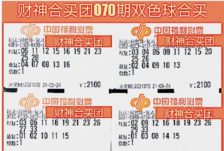 管家婆一票一碼 00正確今天085期 03-04-07-26-44-49Y：41,管家婆一票一碼，揭秘彩票背后的秘密與期待